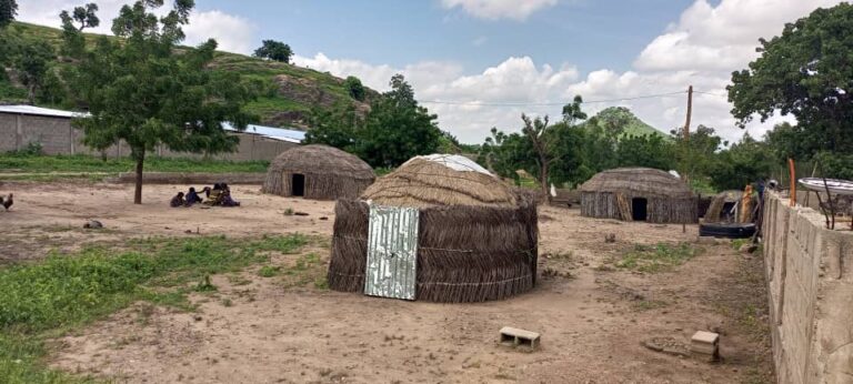 VOYAGE AU CŒUR DU PEUPLE LAME DU CAMEROUN : GARDIEN D’UNE CULTURE MILLÉNAIRE