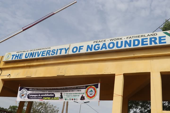 Les Étudiants Vétérinaires de Ngaoundéré Lancent une Croisade Vitale Contre la Rage au Cameroun